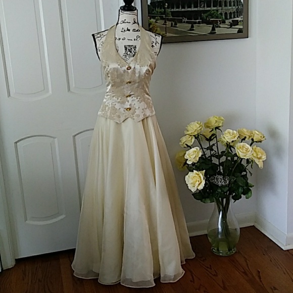Te Rez New York Dresses & Skirts - Vintage Champagne Cinderella Ballgown